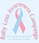 Baby Loss Awareness Campaign Logo