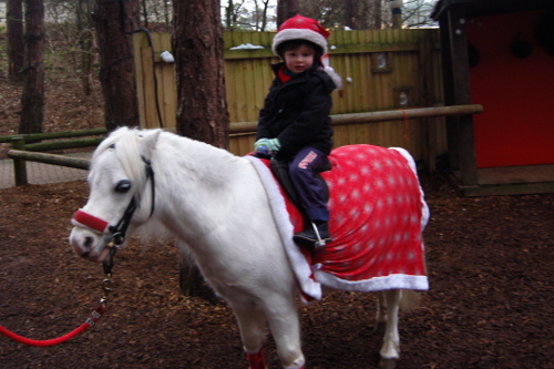 Center Parcs at Christmas time - pony ride from Santas workshop