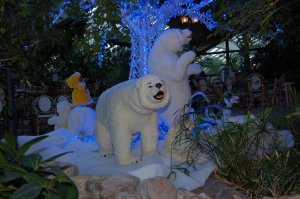 Center Parcs Longleat Forest at Christmas
