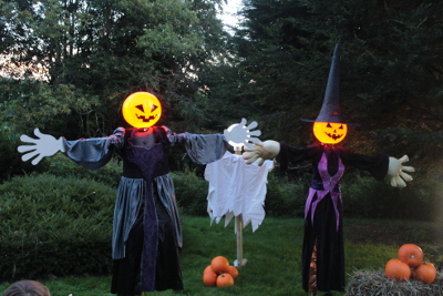 Halloween witch lights at West Midlands Safari Park - Spooky Spectacular